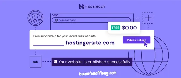 About Hostinger Web Hosting for Nigerian Bloggers